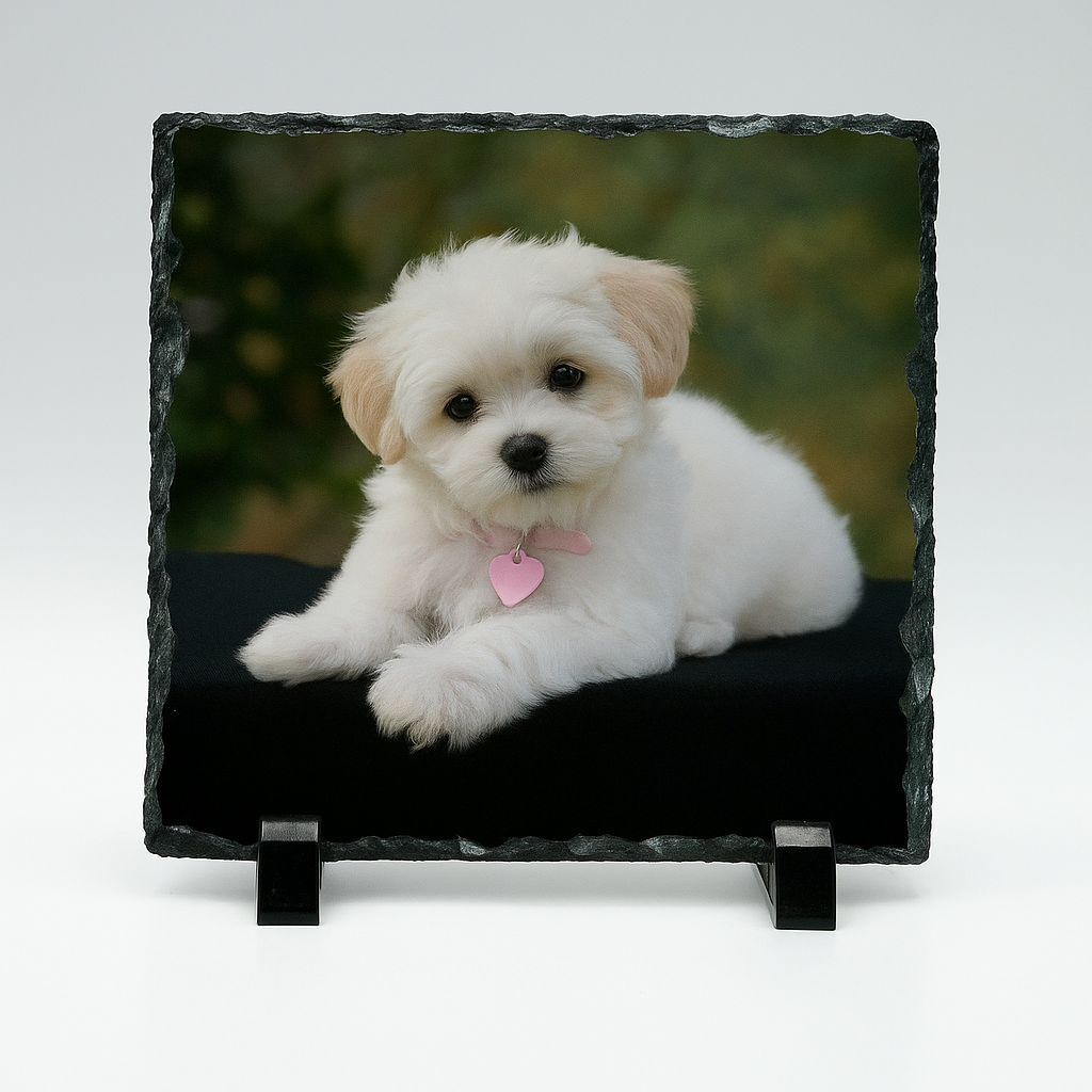 b25e6ede-8852-446f-92c4-72c571881bde